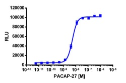 Eurofins Discoverx&nbsp;PathHunter eXpress mADCYAP1R1 (PAC1) CHO-K1 β-Arrestin GPCR Assay, 10pl Kit. (93-0594E2MCP0L)