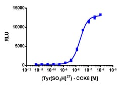 Eurofins Discoverx&nbsp;PathHunter CHO-K1 mCCKAR β-Arrestin Cell Pool, 2 vials. (93-0598P2)