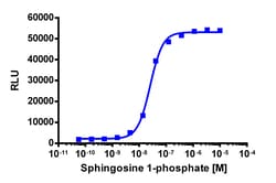 Eurofins Discoverx&nbsp;PathHunter CHO-K1 mEDG5 β-Arrestin Cell Line, 2 vials. (93-0601C2)