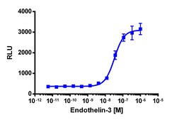 Eurofins Discoverx&nbsp;PathHunter CHO-K1 mEDNRB β-Arrestin Cell Line, 2 vials. (93-0602C2)