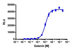 Eurofins Discoverx PathHunter CHO-K1 mGALR2 β-Arrestin Cell Line, 2 vials.
