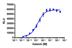 Eurofins Discoverx&nbsp;PathHunter eXpress mGALR2 CHO-K1 β-Arrestin GPCR Assay, 2-Plate Kit. (93-0604E2MCP2M)
