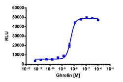 Eurofins Discoverx&nbsp;PathHunter CHO-K1 mGHSR1a β-Arrestin Cell Line, 2 vials. (93-0605C2)