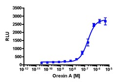 Eurofins Discoverx PathHunter CHO-K1 mHCRTR1 β-Arrestin Cell Pool, 2 vials.