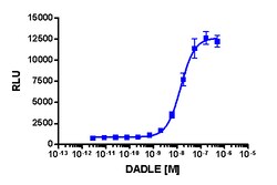 Eurofins Discoverx&nbsp;PathHunter CHO-K1 mOPRD1 β-Arrestin Cell Line, 2 vials. (93-0611C2)