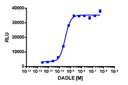Eurofins Discoverx&nbsp;PathHunter eXpress mOPRD1 CHO-K1 β-Arrestin GPCR Assay, 2-Plate Kit. (93-0611E2MCP0M)