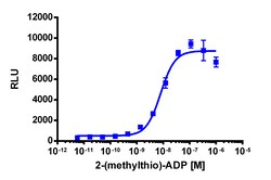 Eurofins Discoverx PathHunter CHO-K1 mP2RY12 β-Arrestin Cell Line, 2 vials.