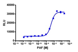Eurofins Discoverx PathHunter eXpress mPTAFR CHO-K1 β-Arrestin GPCR Assay,