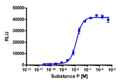 Eurofins Discoverx PathHunter CHO-K1 mTACR1 β-Arrestin Cell Pool, 2 vials.