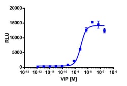 Eurofins Discoverx&nbsp;PathHunter CHO-K1 mVIPR1 β-Arrestin Cell Line, 2 vials. (93-0619C2)
