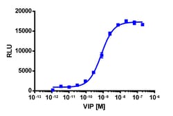 Eurofins Discoverx&nbsp;PathHunter eXpress mVIPR1 CHO-K1 β-Arrestin GPCR Assay, 2-Plate Kit. (93-0619E2MCP2M)
