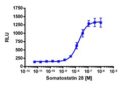 Eurofins Discoverx&nbsp;PathHunter CHO-K1 mSSTR5 β-Arrestin Cell Line, 2 vials. (93-0627C2)