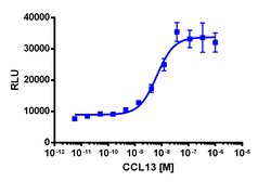 Eurofins Discoverx&nbsp;PathHunter eXpress CCR3 CHO-K1 β-Arrestin GPCR Assay, 10-Plate Kit. (93-0629E2CP2L)