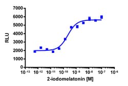Eurofins Discoverx PathHunter CHO-K1 MTNR1B β-Arrestin Cell Line, 2 vials.
