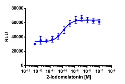 Eurofins Discoverx&nbsp;PathHunter eXpress MTNR1B CHO-K1 β-Arrestin GPCR Assay, 2-Plate Kit. (93-0630E2CP0M)