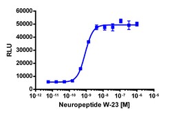 Eurofins Discoverx PathHunter eXpress NPBWR2 CHO-K1 β-Arrestin GPCR Assay,