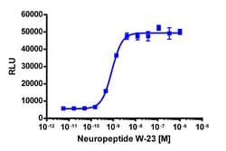Eurofins Discoverx&nbsp;PathHunter eXpress NPBWR2 CHO-K1 β-Arrestin GPCR Assay, 2-Plate Kit. (93-0638E2CP2M)