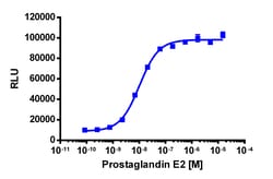 Eurofins Discoverx&nbsp;PathHunter eXpress PTGER3 CHO-K1 β-Arrestin GPCR Assay, 2-Plate Kit. (93-0640E2CP0M)