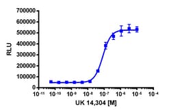 Eurofins Discoverx PathHunter CHO-K1 ADRA2B β-Arrestin Cell Line, 2 vials.