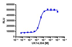 Eurofins Discoverx&nbsp;PathHunter eXpress ADRA2B CHO-K1 β-Arrestin GPCR Assay, 2-Plate Kit. (93-0641E2CP2M)