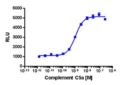 Eurofins Discoverx&nbsp;PathHunter CHO-K1 C5L2 β-Arrestin Cell Line, 2 vials. (93-0645C2)