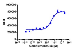 Eurofins Discoverx&nbsp;PathHunter eXpress C5L2 CHO-K1 β-Arrestin GPCR Assay, 2-Plate Kit. (93-0645E2CP0M)