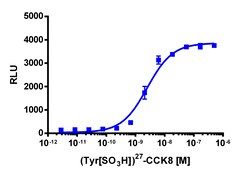 Eurofins Discoverx PathHunter eXpress CCKAR Activated GPCR Internalization