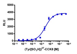 Eurofins Discoverx&nbsp;PathHunter eXpress CCKAR Activated GPCR Internalization Assay, 2pl Kit. (93-0650E3CP5M)