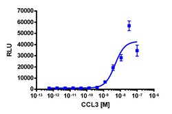 Eurofins Discoverx&nbsp;PathHunter CCR5 Activated GPCR Internalization U2OS Cell Line, 2 vials. (93-0653C3)