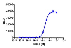 Eurofins Discoverx PathHunter eXpress CCR5 Activated GPCR Internalization