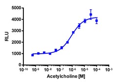 Eurofins Discoverx PathHunter CHRM1 Activated GPCR Internalization U2OS