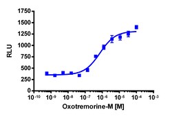 Eurofins Discoverx&nbsp;PathHunter CHRM2 Activated GPCR Internalization U2OS Cell Line, 2 vials. (93-0656C3)