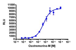 Eurofins Discoverx PathHunter CHRM5 Activated GPCR Internalization U2OS