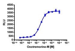 Eurofins Discoverx&nbsp;PathHunter eXpress CHRM5 Activated GPCR Internalization Assay, 2pl Kit. (93-0657E3CP5M)