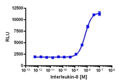 Eurofins Discoverx&nbsp;PathHunter CXCR1 (IL8RA) Activated GPCR Internalization U2OS Cell Line, 2 vials. (93-0659C3)