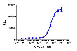 Eurofins Discoverx&nbsp;PathHunter CXCR3 Activated GPCR Internalization U2OS Cell Line, 2 vials. (93-0661C3)
