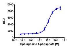 Eurofins Discoverx&nbsp;PathHunter EDG3 Activated GPCR Internalization U2OS Cell Line, 2 vials. (93-0663C3)