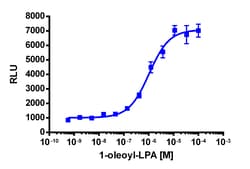 Eurofins Discoverx&nbsp;PathHunter EDG7 Activated GPCR Internalization U2OS Cell Line, 2 vials. (93-0664C3)