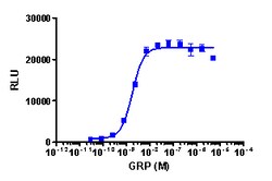 Eurofins Discoverx PathHunter eXpress GRPR Activated GPCR Internalization