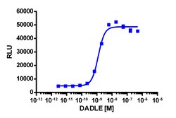 Eurofins Discoverx&nbsp;PathHunter eXpress OPRD1 Activated GPCR Internalization Assay, 2pl Kit. (93-0673E3CP0M)