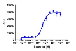 Eurofins Discoverx PathHunter SCTR Activated GPCR Internalization U2OS