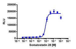 Eurofins Discoverx&nbsp;PathHunter SSTR2 Activated GPCR Internalization CHO-K1 Cell Line, 2 vials. (93-0676C2)