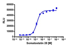 Eurofins Discoverx PathHunter eXpress SSTR2 Activated GPCR Internalization