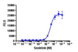 Eurofins Discoverx PathHunter TACR3 Activated GPCR Internalization U2OS
