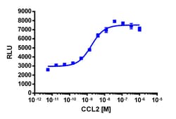 Eurofins Discoverx&nbsp;PathHunter CCR2 Total GPCR Internalization U2OS Cell Line, 2 vials. (93-0679C3)