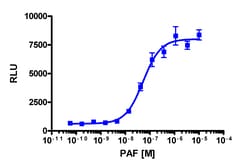 Eurofins Discoverx PathHunter PTAFR Activated GPCR Internalization U2OS