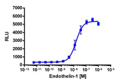 Eurofins Discoverx&nbsp;PathHunter CHO-K1 mEDNRA β-Arrestin Cell Line, 2 vials. (93-0685C2)