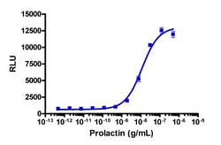 Eurofins Discoverx&nbsp;PathHunter U2OS PRLR-JAK1 Functional Assay, 2 vials. (93-0686C3)