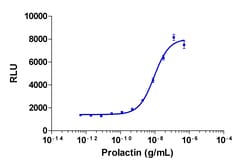 Eurofins Discoverx&nbsp;PathHunter U2OS PRLR-JAK2 Functional Assay, 2 vials. (93-0687C3)