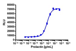 Eurofins Discoverx&nbsp;PathHunter eXpress PRLR-JAK2 Functional Assay, 2-Plate Kit. (93-0687E3CP0M)